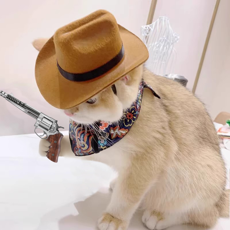 Cowboy Hat Straw - ﻿ Kat Cowboyhoed Huisdier Hoofdaccessoires Western